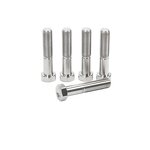Titanium Bolt Kit Factory - Torsion Arm Pitman Arm Pinch