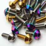 Titanium Screws Supplier - CNC Umbrella Head Button M5 M6