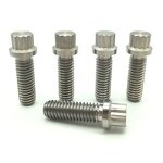 Titanium Bolt Factory - 12 Point Head 5/16-24x1 Inch Sprint