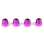 Titanium Cap Nut Factory - Acorn Dome Head Hex Nuts