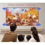 Acoustic Projector Screen Manufacturer - Custom ALR Screen