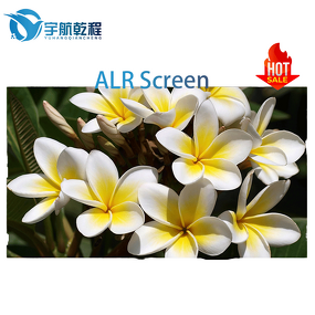 Fixed Frame Screen Manufacturer - OEM/ODM Large Size Screen