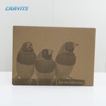 4K DLP Projector Manufacturer - Custom Outdoor Projector