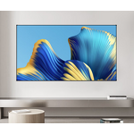 Acoustic Projector Screen Supplier - OEM/ODM Wall Mounted Screen