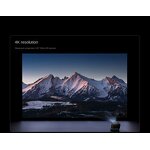 Home Projection Screen Factory - OEM/ODM Wall-mounted Screen