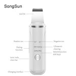 Ultrasonic Ion Skin Scrubber Manufacturer - Pink Color Spatula Peeling Shovel