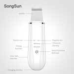 Skin Scrubber Factory - Hot Sale Fy-400b Professional with Spray