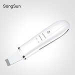 Skin Scrubber Factory - Hot Sale Fy-400b Professional with Spray