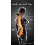 Red Light Therapy Panel Manufacturer - Custom Home Use Full Body Spa 850nm