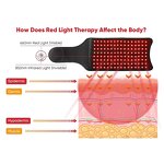 Red Light Therapy Belt Manufacturer - Professional for Muscle Recovery Joint Pain