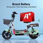 Electric Bike Manufacturer - 350W Wholesale OEM/ODM