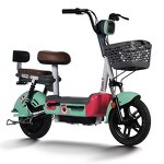 Electric Bike Manufacturer - 350W Wholesale OEM/ODM