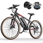 Electric Mountain Bike Manufacturer - 500W 7-Speed OEM
