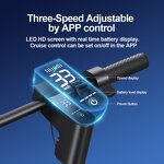 Electric Kick Scooter Manufacturer - 10 Inch 500W OEM