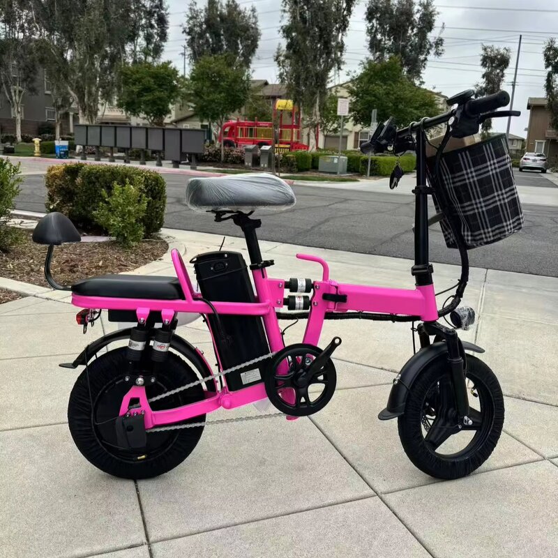 Folding E Bike Manufacturer - 2 Seat Long Range OEM