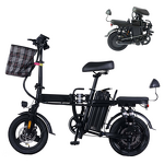 Folding E Bike Manufacturer - 14 Inch Long Range OEM