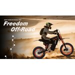 Electric Bike Manufacturer - 3000W Off-Road OEM/ODM