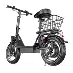 Electric Bike Manufacturer - Foldable 500W OEM/ODM