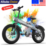 Folding Electric Bike Manufacturer - 20 Inch Shimano OEM
