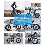 Folding Electric Bike Manufacturer - 20 Inch Shimano OEM