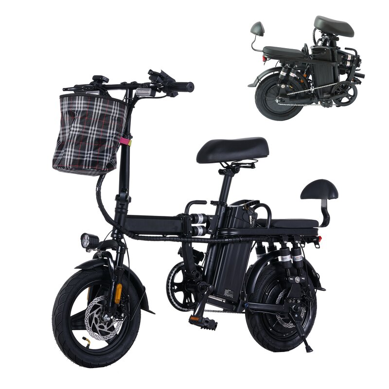 Folding Electric Bike Manufacturer - Waterproof 500W OEM