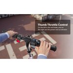 Kids Electric Scooter Manufacturer - 150W Motor OEM/ODM