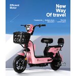 Electric Motorcycle Manufacturer - 350W 14 Inch OEM/ODM