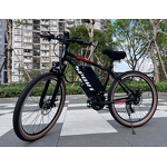 Electric Mountain Bike Manufacturer - 500W 7-Speed OEM