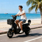 Electric Moped Manufacturer - Dual Seat Custom OEM