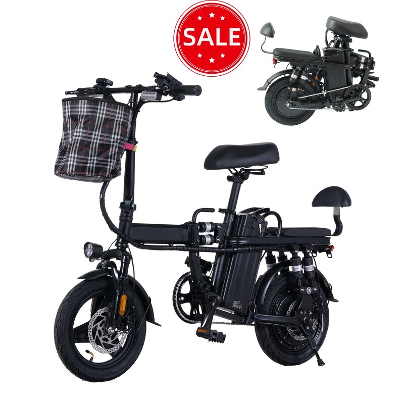Folding Electric Bike Manufacturer - 500W OEM/ODM Bulk