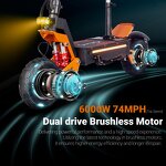 Electric Scooter Manufacturer - 6000W Dual Motor OEM Bulk