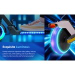 Kids Electric Scooter Manufacturer - 150W Motor OEM/ODM