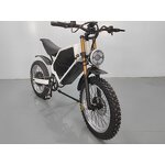 Electric Bicycle Manufacturer - 1000W Off-Road OEM