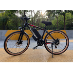 Electric Mountain Bike Manufacturer - 500W 7-Speed OEM