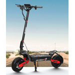 Electric Scooter Manufacturer - Off-Road 11 Inch OEM