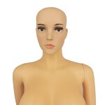 Female Mannequin Manufacturer - Plastic Headless OEM