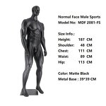 Male Mannequin Manufacturer - Big and Tall OEM