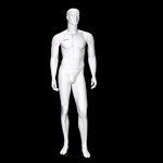 Male Mannequin Manufacturer - Realistic OEM