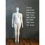 Brazilian Mannequin Manufacturer - Headless Bulk