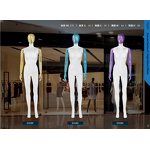 Female Mannequin Manufacturer - Curvy Soft OEM