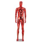 Head Mannequin Manufacturer - Unisex Wall Mount