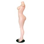Brazilian Mannequin Manufacturer - Headless OEM/ODM