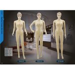 Female Mannequin Manufacturer - Curvy Soft OEM