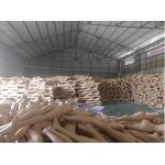 Female Mannequin Manufacturer - Hot Sale Bulk