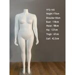 Brazilian Mannequin Manufacturer - Headless Bulk