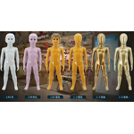 Kids Mannequin Manufacturer - White Full Body