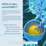 NAD+胶囊生产商-批发OEM热销细胞增强剂抗衰老成人适用