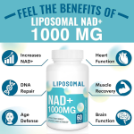 NAD胶囊生产商-批发热销OEM品牌成人草药补充剂厂家