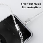 Earphone Cable Manufacturer - Type C OEM