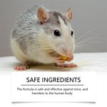 Rodent Repellent Spray Manufacturer - 150ml